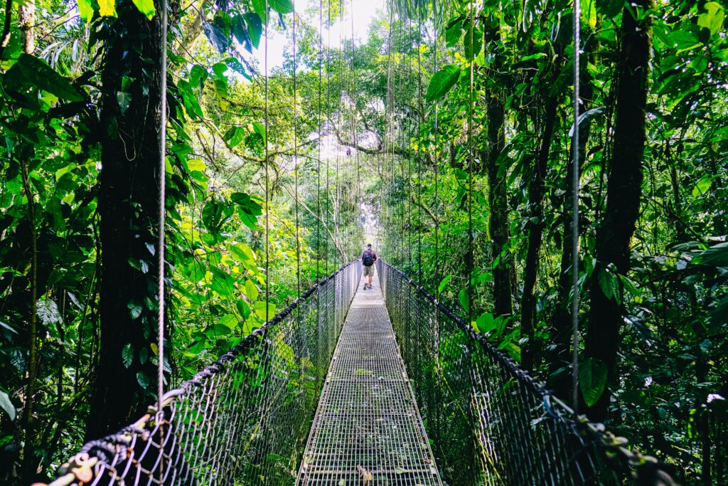 Rainforest Hikes